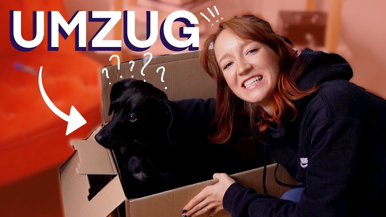 Umzug - Kisten packen