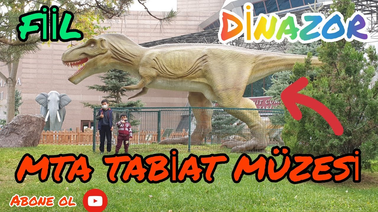MTA TABİAT MÜZESİ YAĞIZ EFE METEHAN MÜZEYİ TANIT TI DİNAZOR FİİL FOSİL TAŞ EĞLENCELİ ÇOCUK VİDEOSU