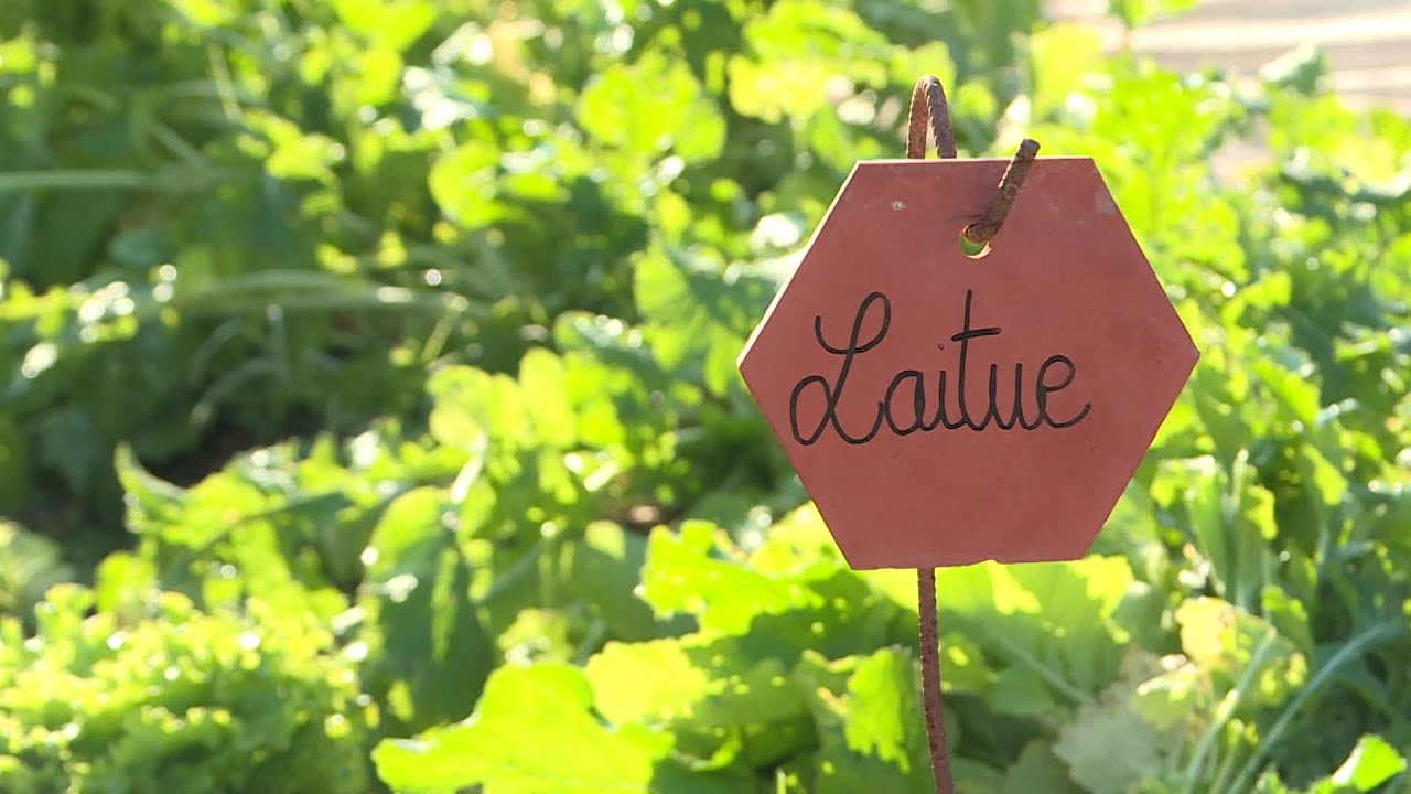 Potager et Compagnie, une entreprise qui a pour but de d&eacute;velopper les potagers bio dans le Var