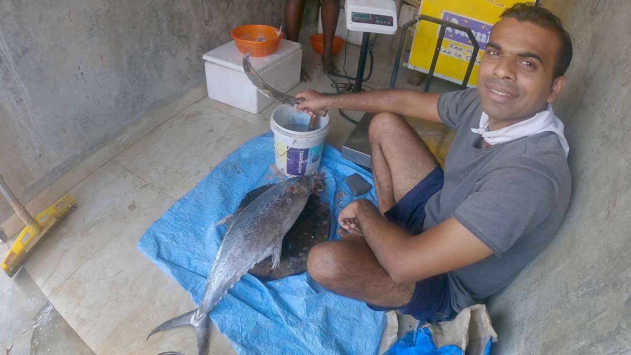Sunday visit to Wadrai for KingFish