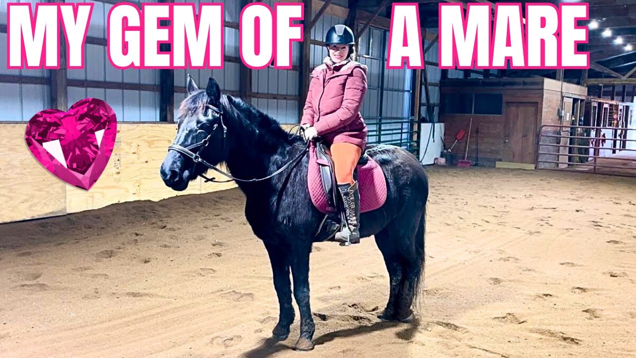 Meet My 30 Year Old Mare Bagheera! She Will Stay With Me For Life