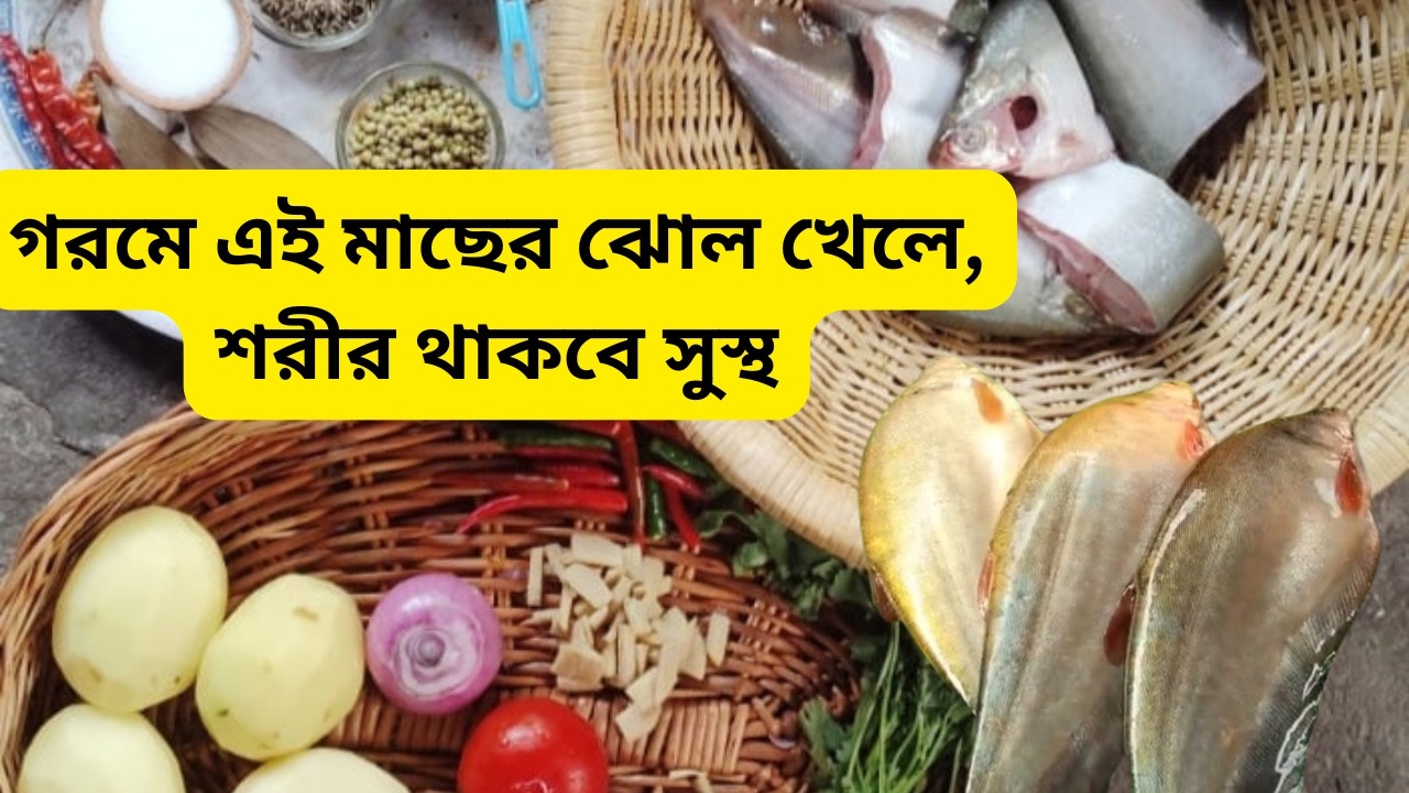 গরমের দিনের জন্য খুব উপকারী ফলি মাছের রেসিপি ।। Anti-Pox Recipe