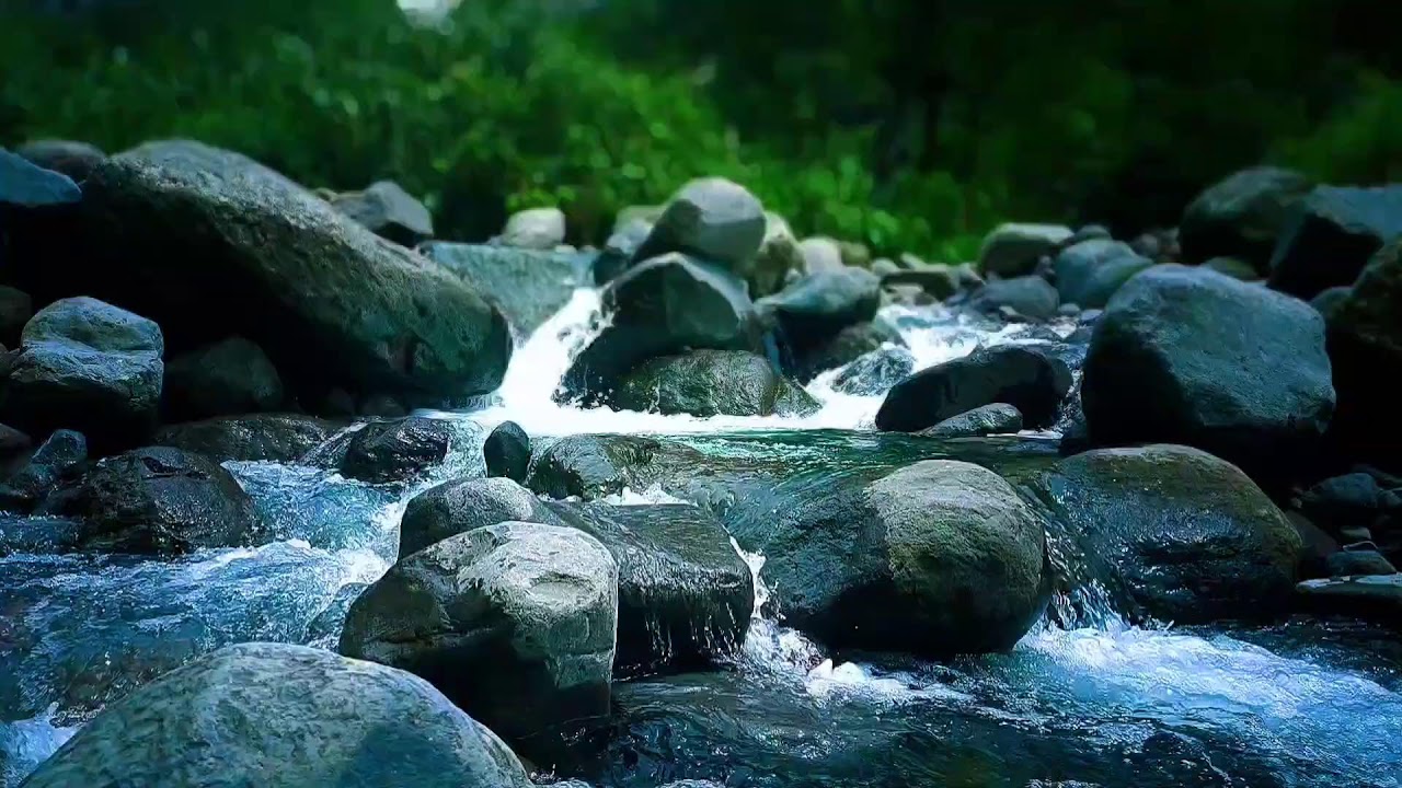 🍃 Slow Flowing River ASMR Sounds for Anxiety Relief & Peaceful Sleep