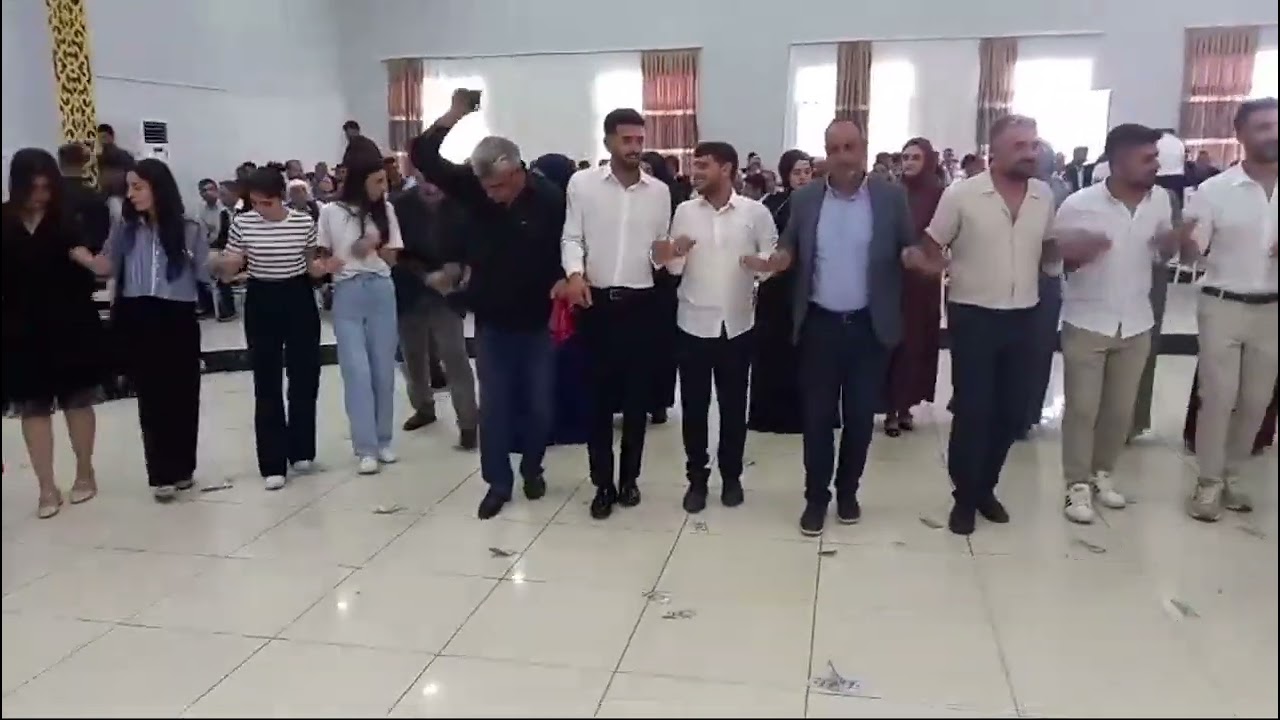 Diyarbakır Ergani Düğünü