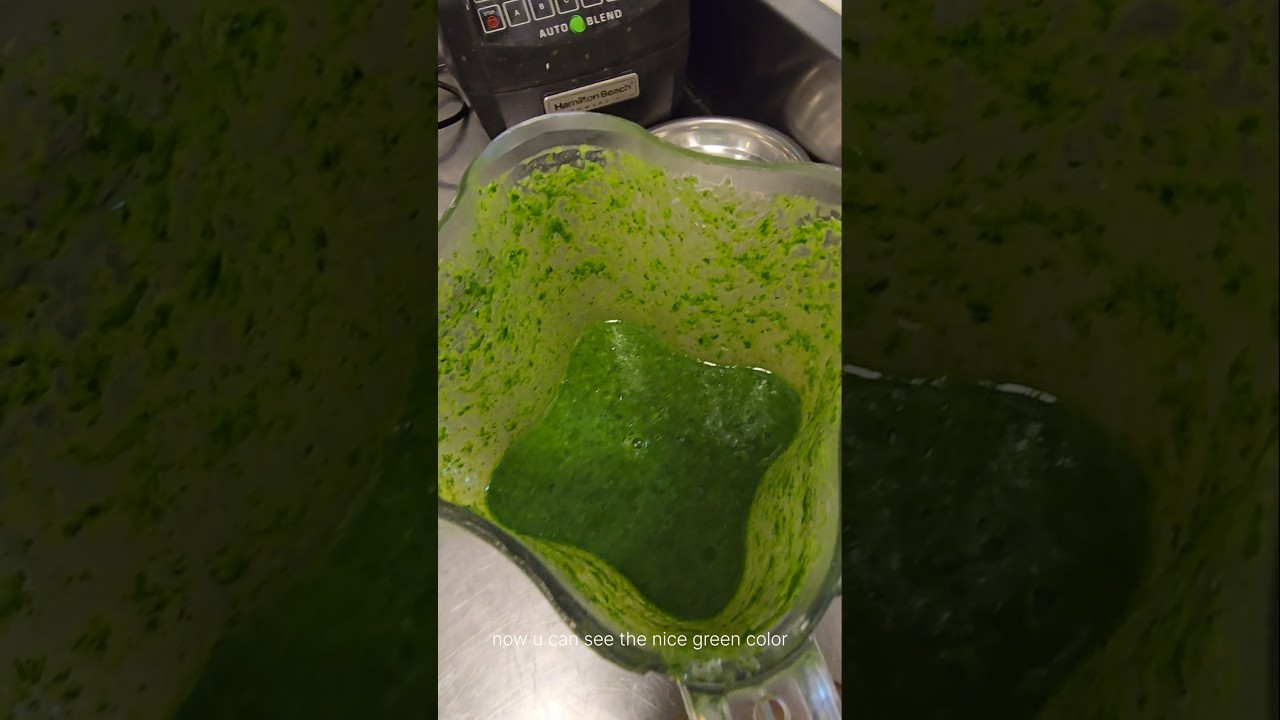 How to make Michelin quality parsley oil or any different herb oils.#chefcommunity #cheftalent #food