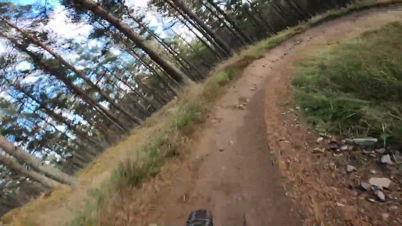 Tarland - Crowd surfing - Mondraker