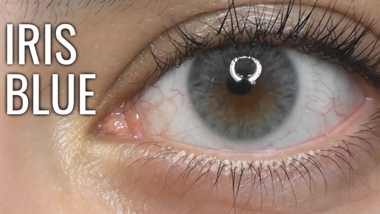 Siesta Crystal Iris Blue Review | ZOOMED + Daylight (discount danica10)