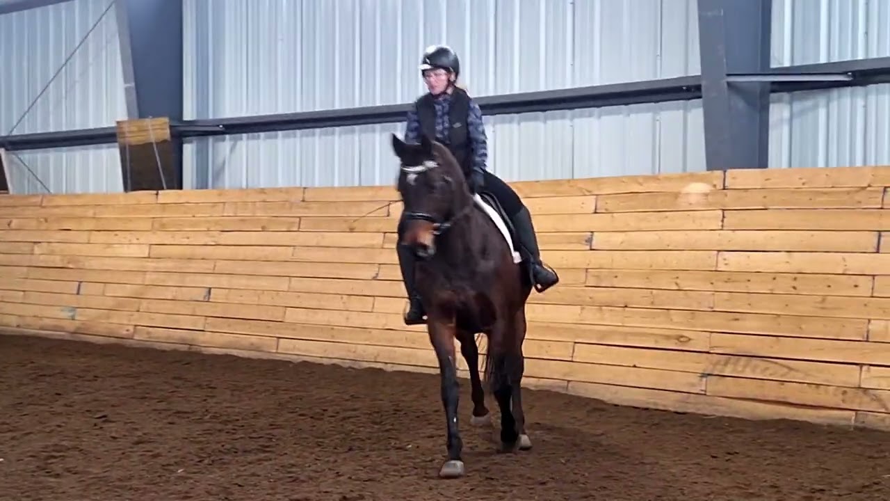 Krista Ryall Freyja wt b feb 2026