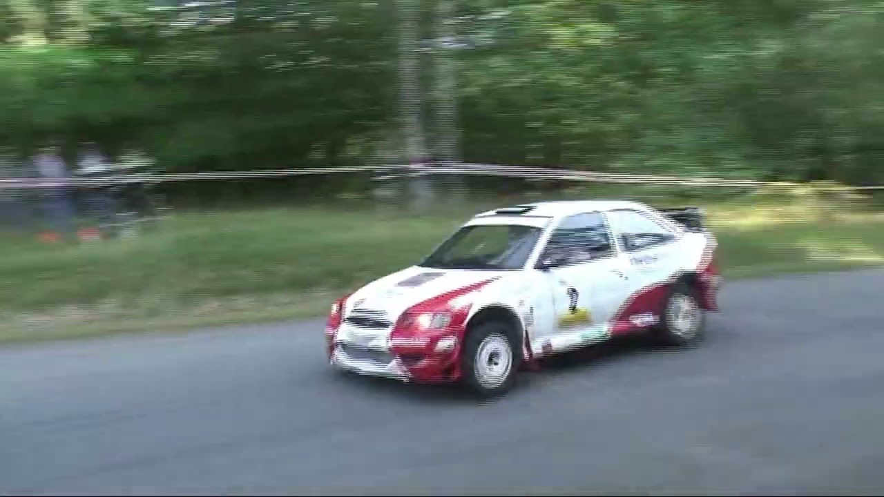 Snapphanerallyt 2009