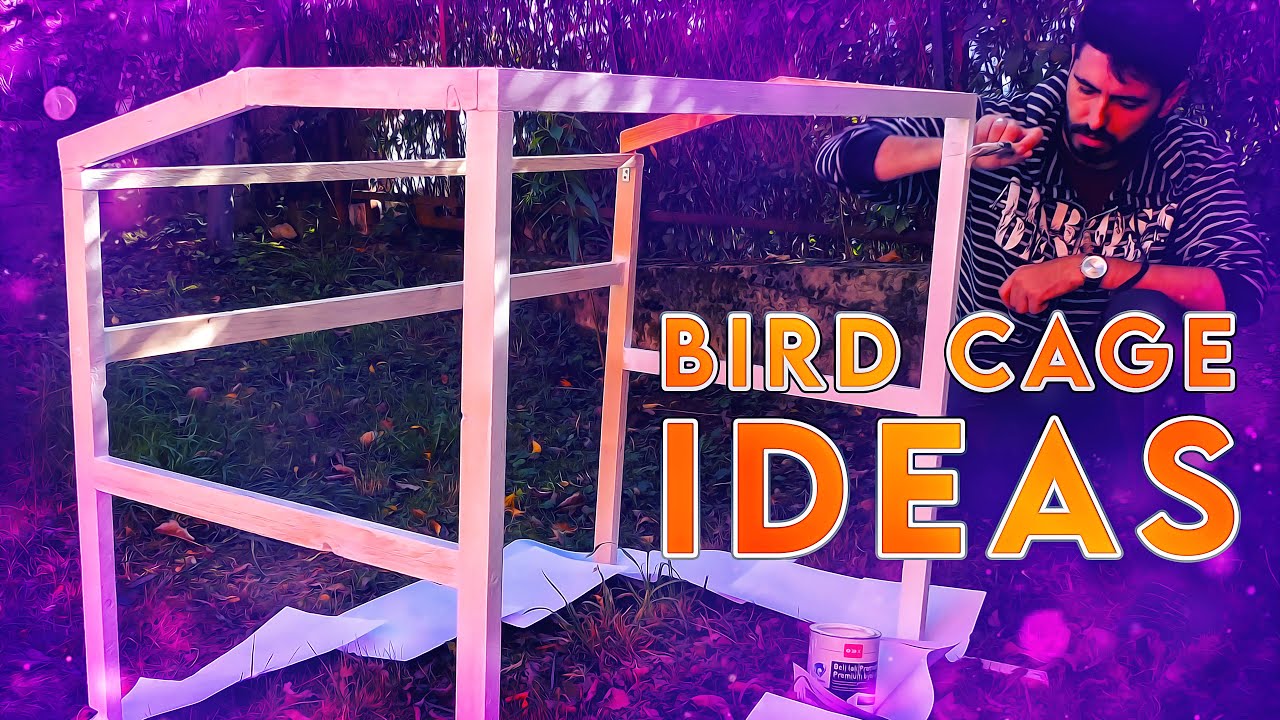 Homemade Bird Cage Ideas | Compilation