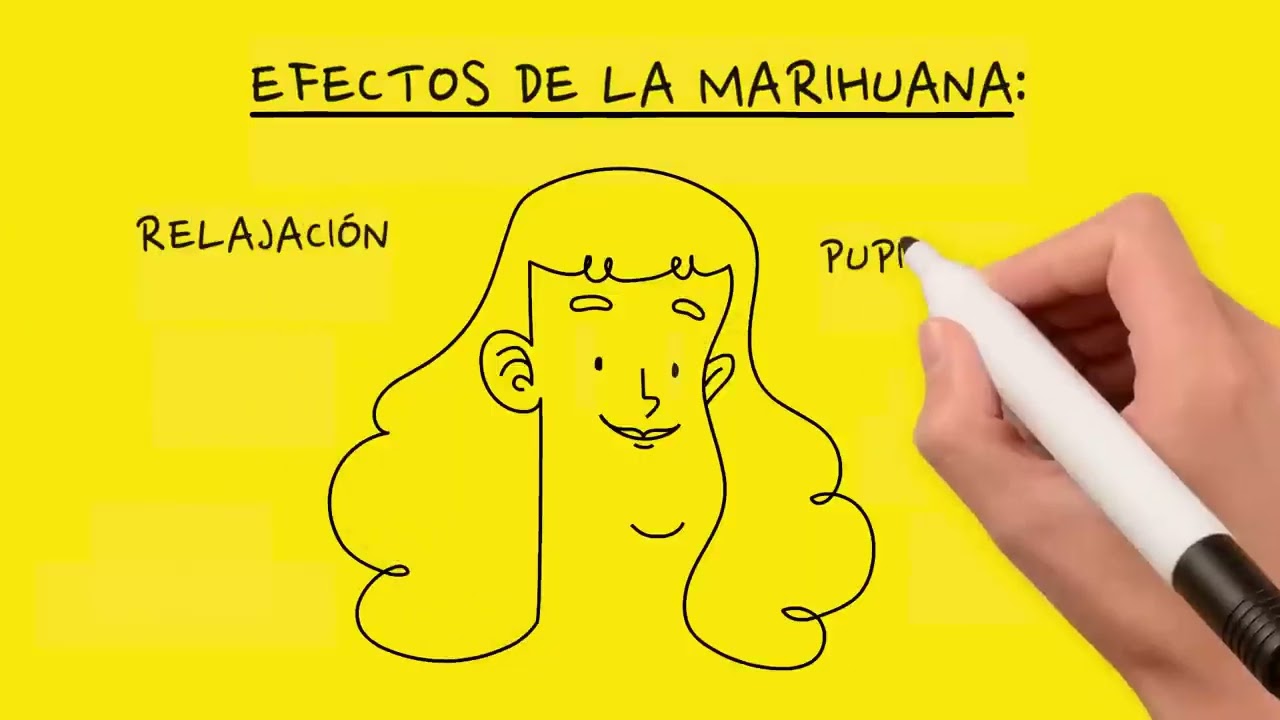 C&Oacute;MO FUNCIONA LA MARIHUANA  #TELOEXPLICO   Teloexplicovideo 720p, h264