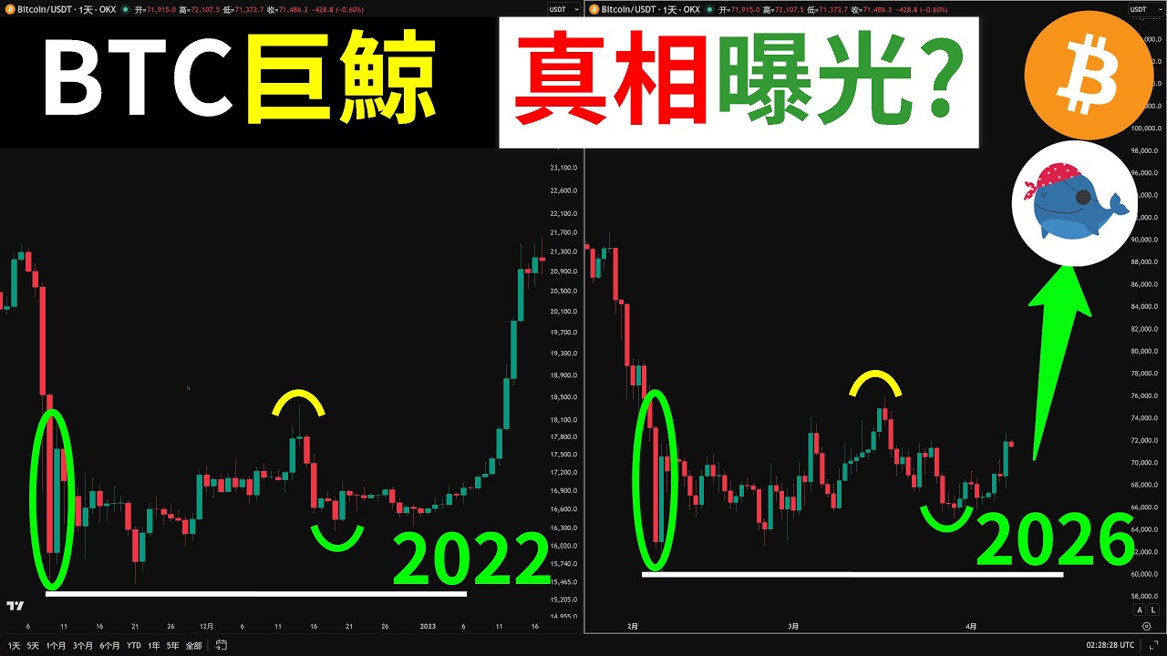 比特币巨鲸真相曝光！链上牛市信号来了？#BTC  #黄金 #XAU