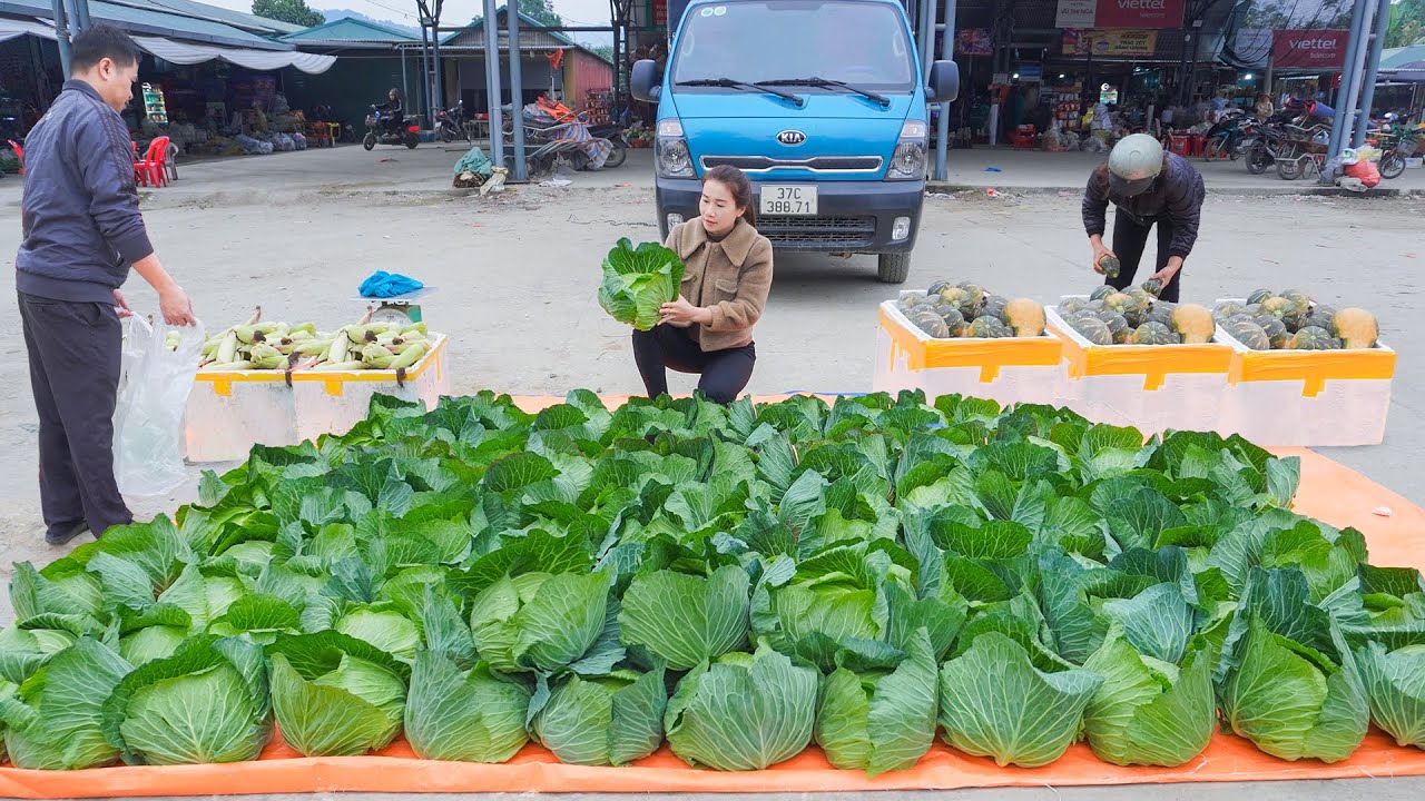 Use Barrel Truck Transport Many Cabbage Go To Sell - Harvest Lots Of Cabbage | My Farm / Đào