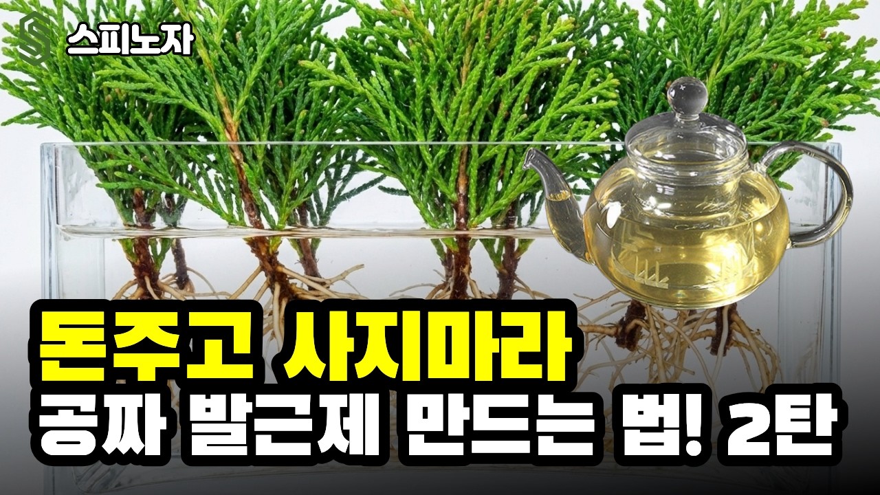 삽목 성공률 올리는 ‘무료’ 레시피: 버드나무 발근제 만들기 2편
