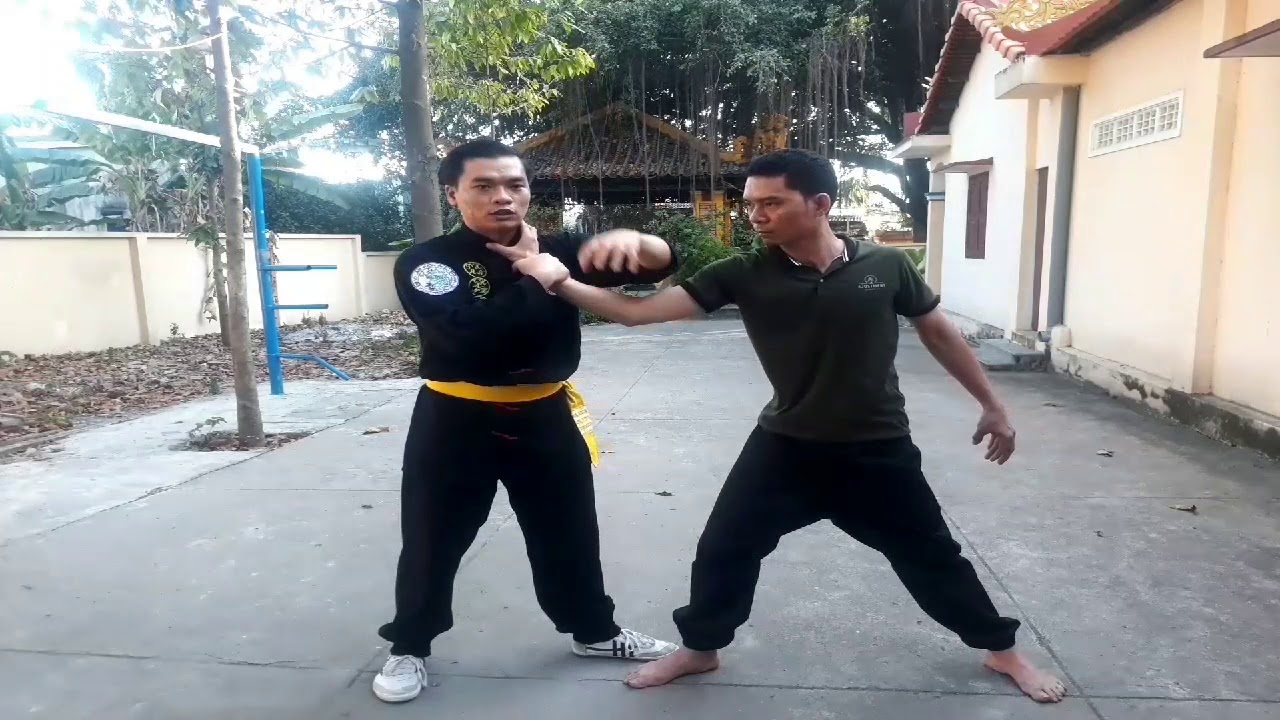 VÕ TỰ VỆ - Võ Cổ Truyền Việt Nam .