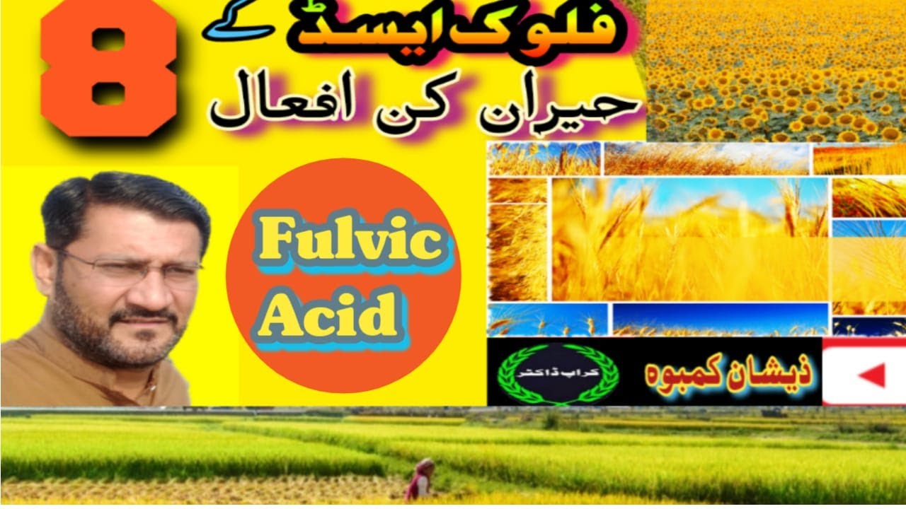 How we understand Fulvic Acid, and its benefits