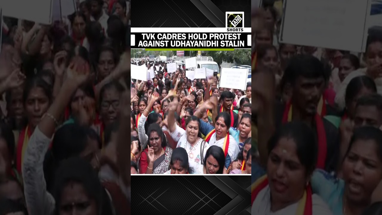 TVK cadres hold protest against Udhayanidhi Stalin over his alleged Double-meaning remark in Chennai
