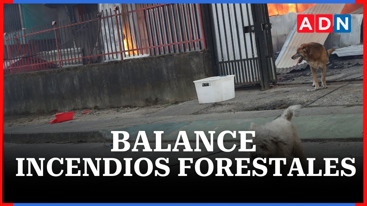El balance en medio de los brutales incendios forestales en Chile