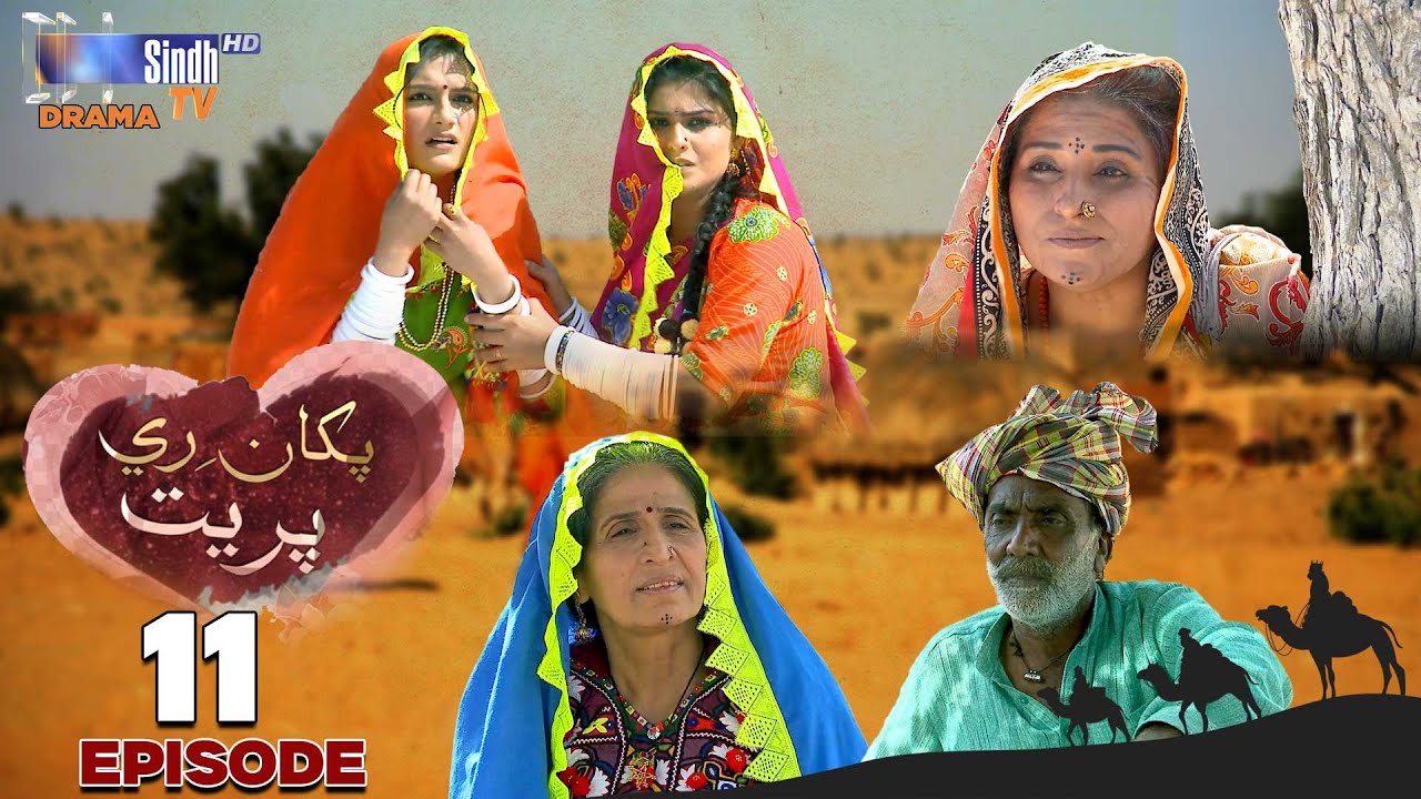 Pakha Ri Preet Episode 11 | Drama Serial | SindhTVHD Drama