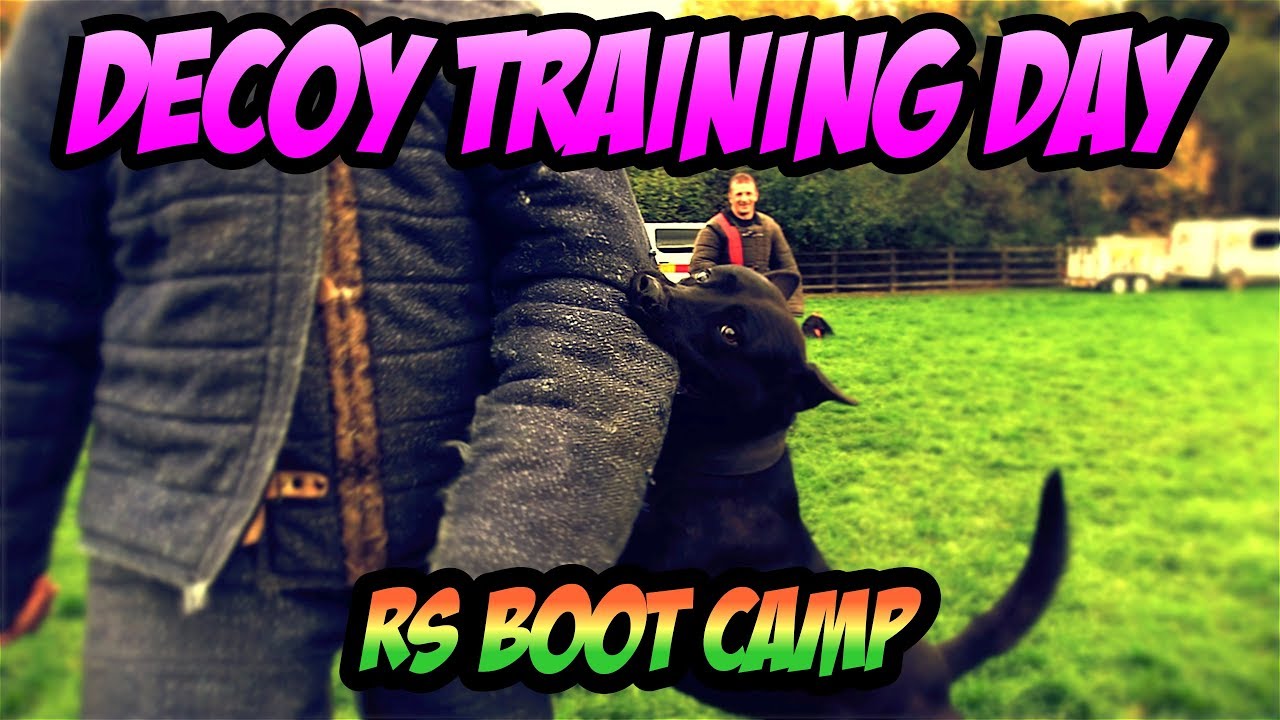 RS BOOTCAMP Rodney Stoute Decoy Training Day 2017