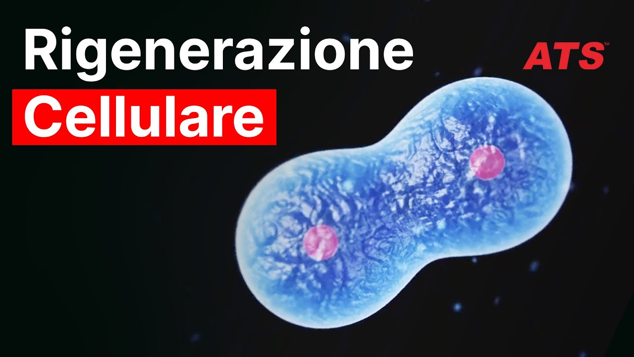 Rigenerazione Cellulare | La Scienza del Cambiamento