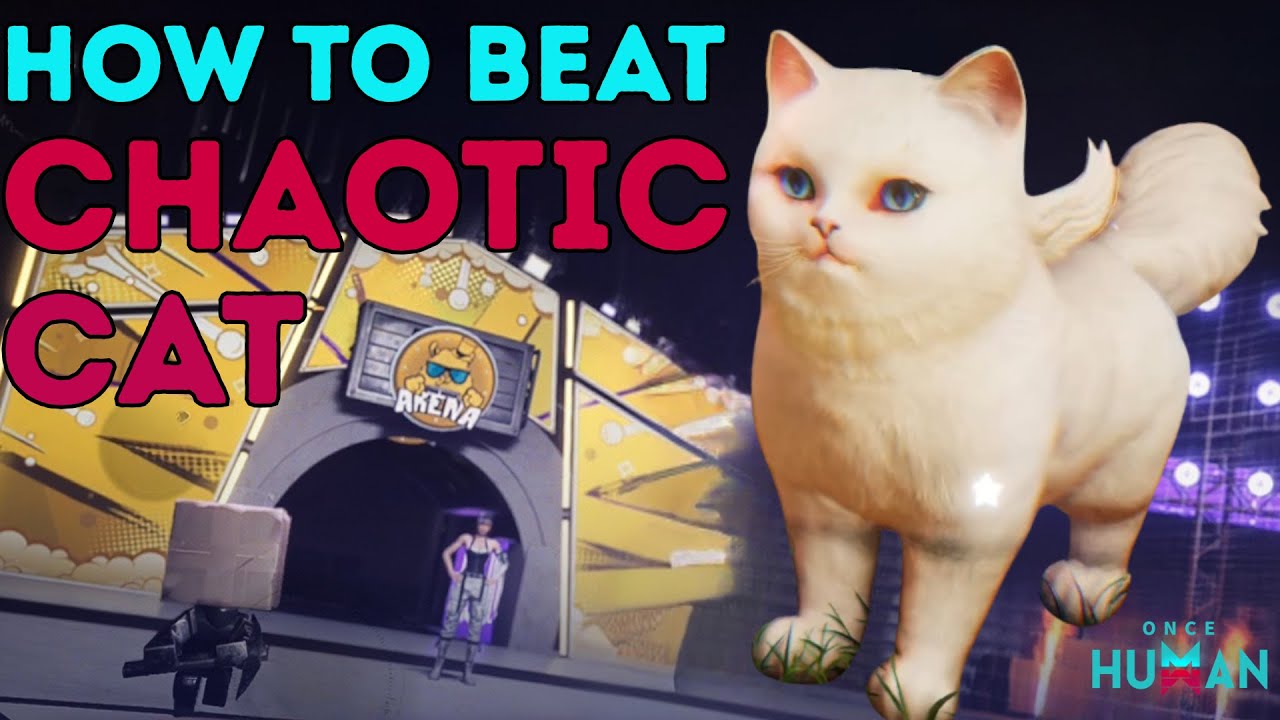 How to Beat Chaotic Extradimensional Cat