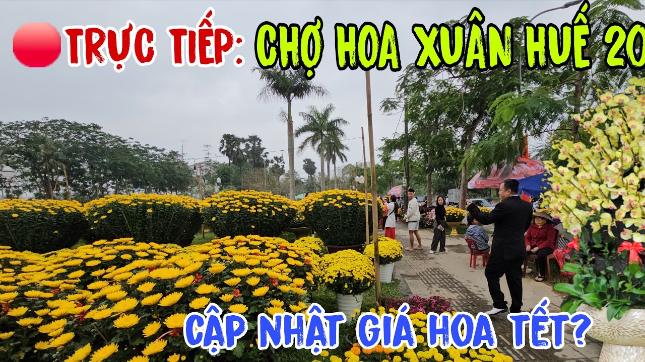 🔴 TRỰC TIẾP CHỢ HOA XUÂN LỚN NHẤT HUẾ NGAY LÚC NÀY (23 TẾT )