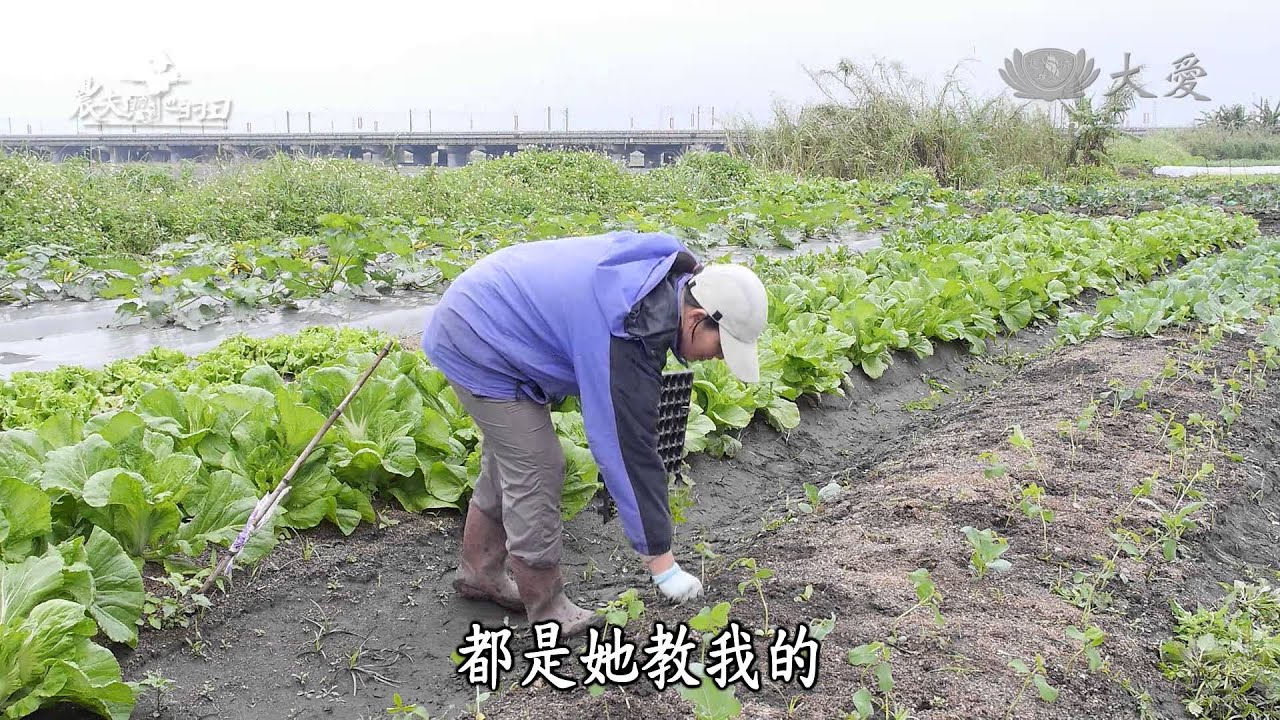 【農夫與他的田】20140315 - 賴嬌燕的有機農場夢