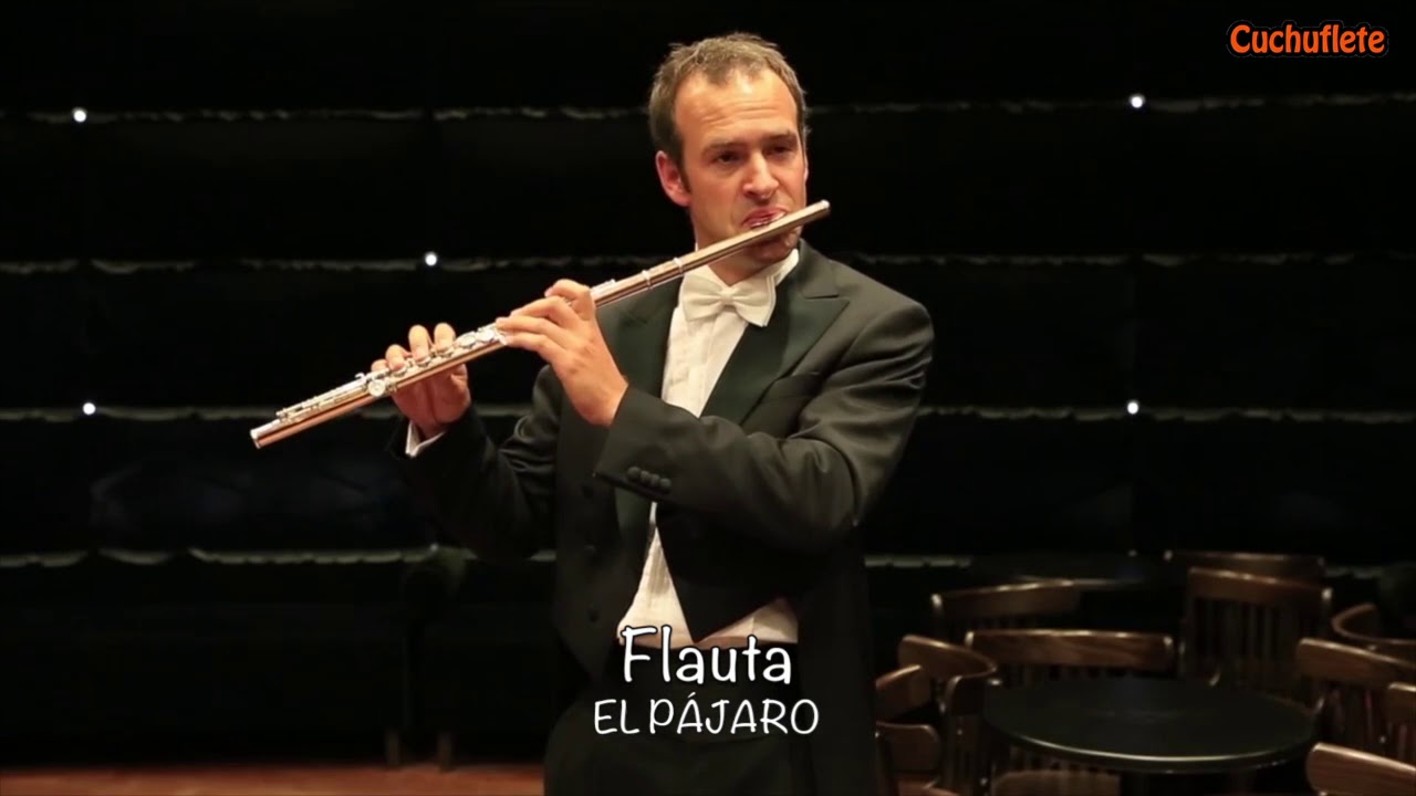 Los instrumentos de Pedro y el lobo / Peter and the wolf (Prokofiev)