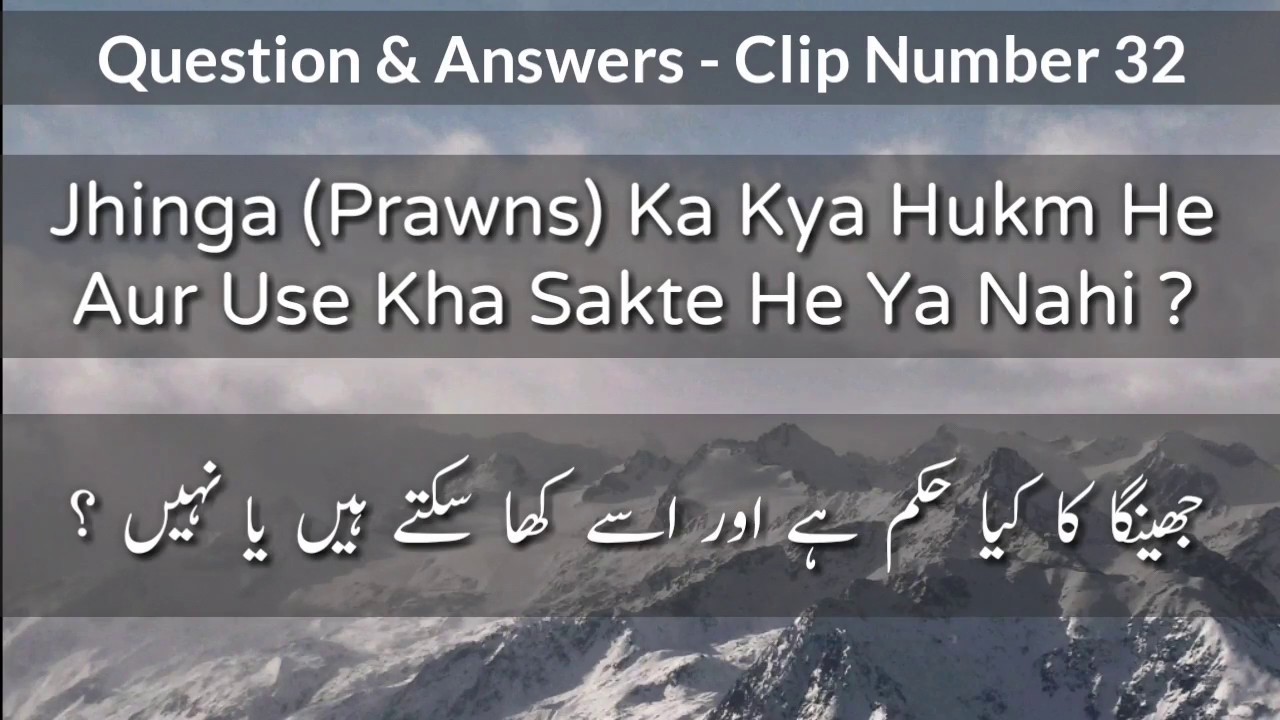 Jhinga (Prawns) Ka Kya Hukm He Aur Use Kya Kha Sakte Hai ? | Mufti Ahmed SB Khanpuri DB | #Q&A 32