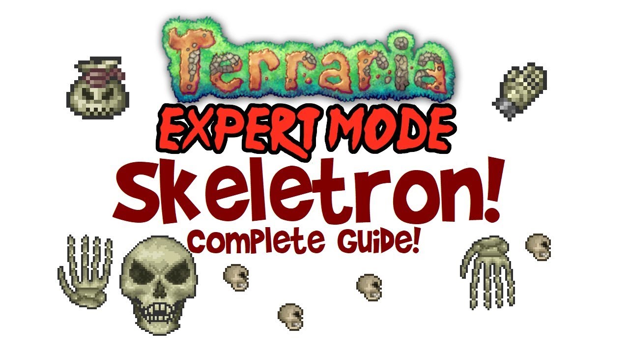 Terraria Skeletron Expert Guide (+Обычный тоже! Битва с боссом, Дропы, Арена, Кукла Вуду изготови...