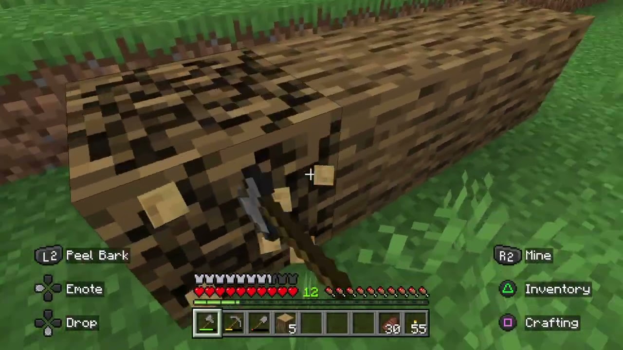 Minecraft everyone's favorite the craft center (finishing the dog house finally)