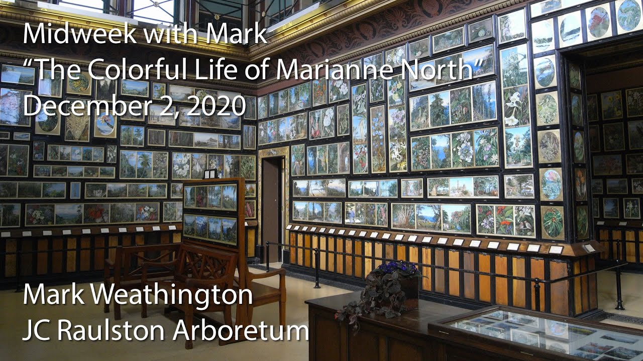"The Colorful Life of Marianne North"