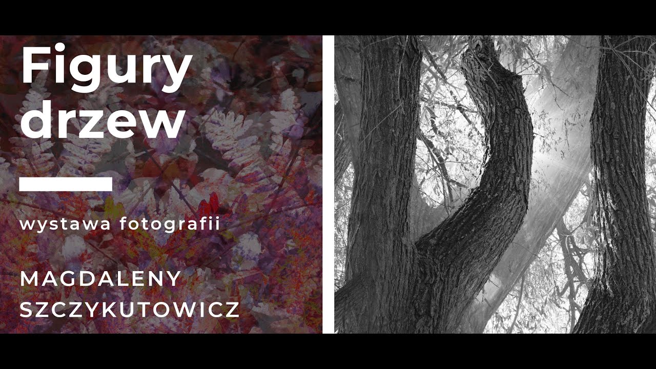 Wystawa Fotografii Magdaleny Szczykutowicz 