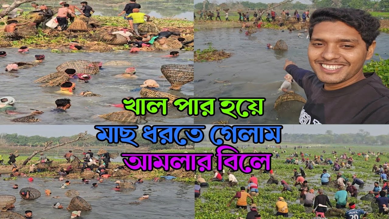 খাল পার হয়ে মাছ ধরতে গেলাম শার্শা থানার আমলার বিলে। 