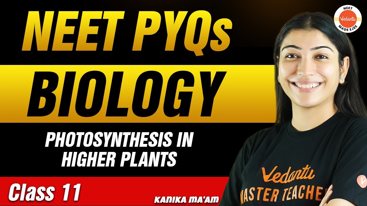 NEET PYQs for Photosynthesis in Higher Plants | Class 11 Biology | NEET 2024