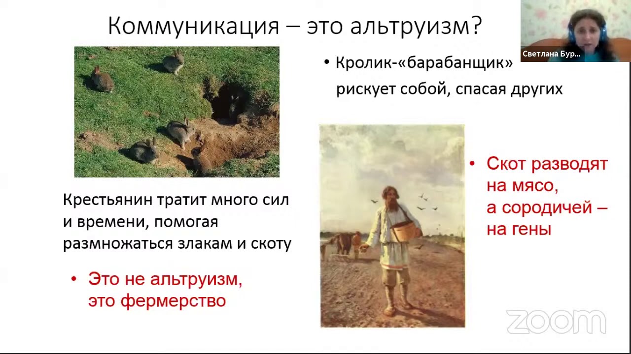 Лекция  
