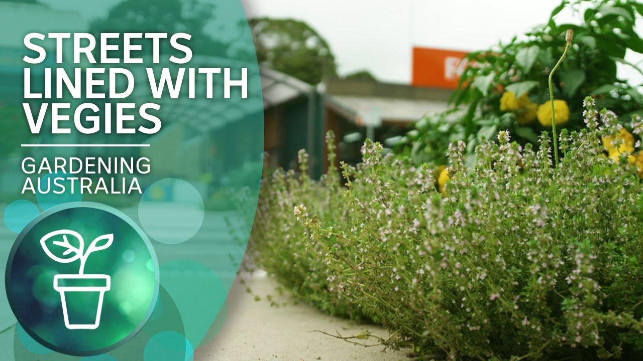 Landscaping with vegetables creates free food for all | Urban Farming | Gardening Australia