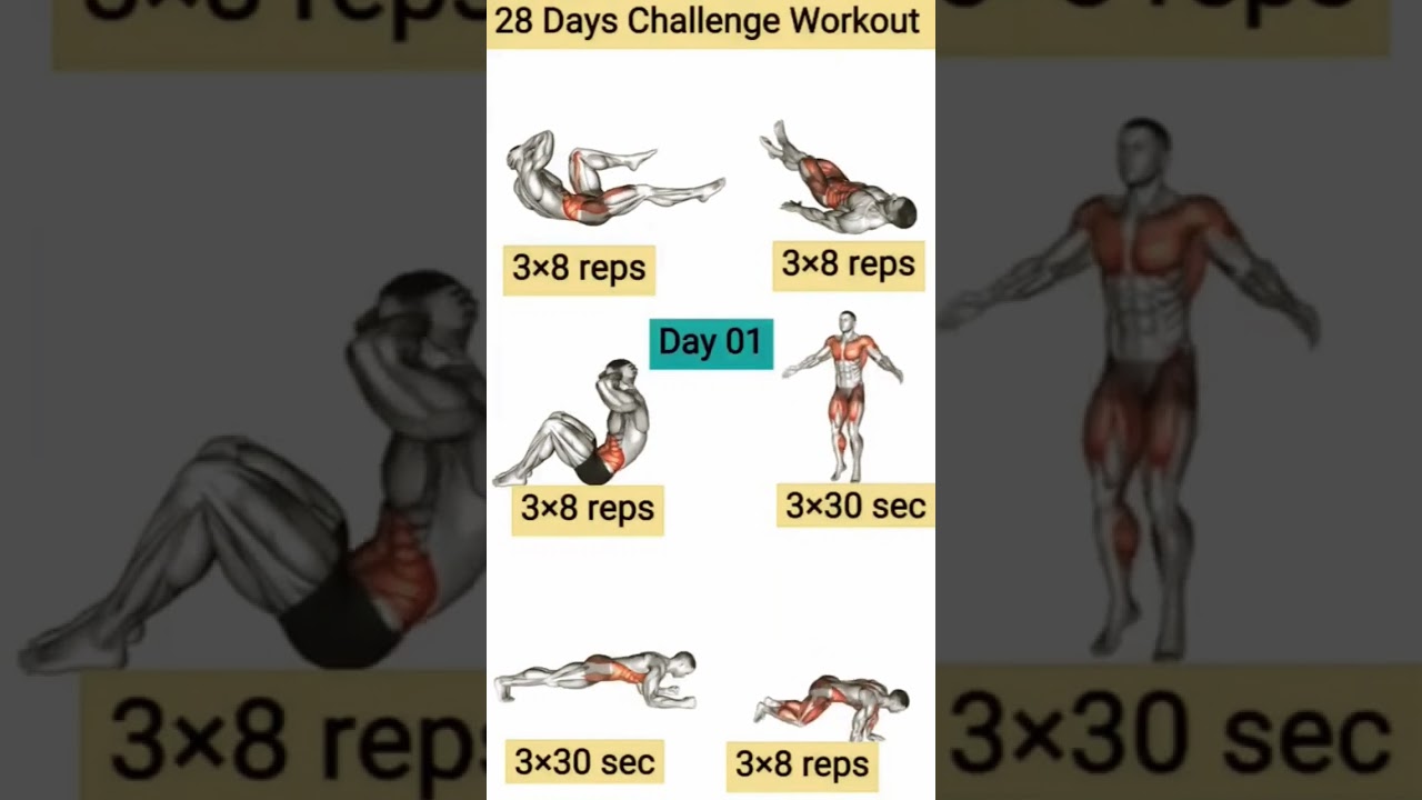 28 days full body workout challenge