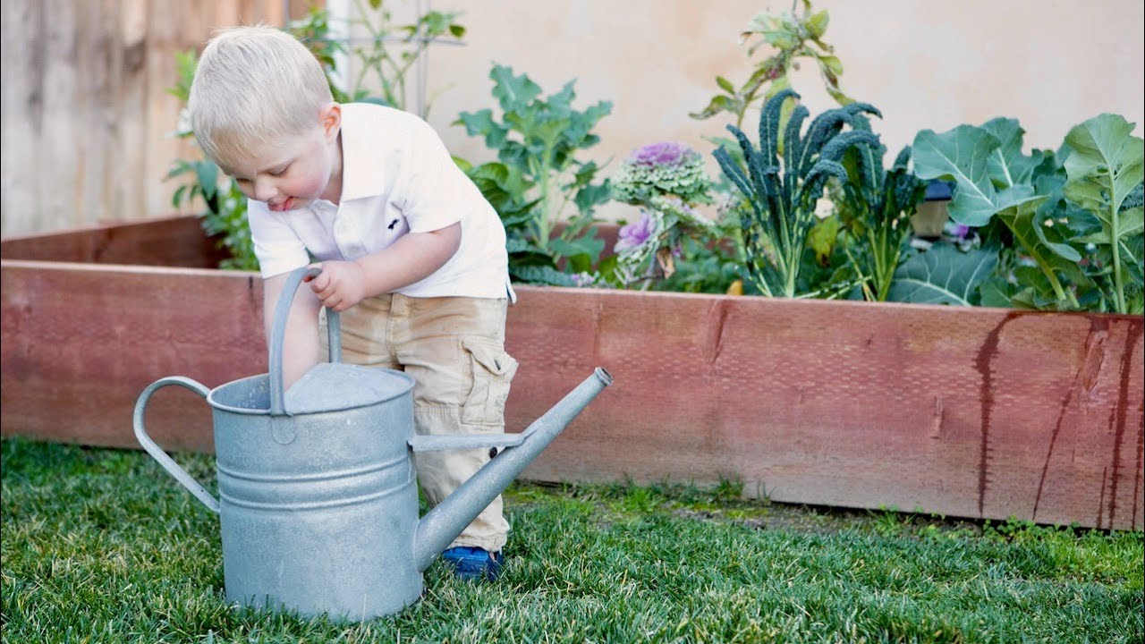 Easy and Effective Water Saving Tips for your Garden