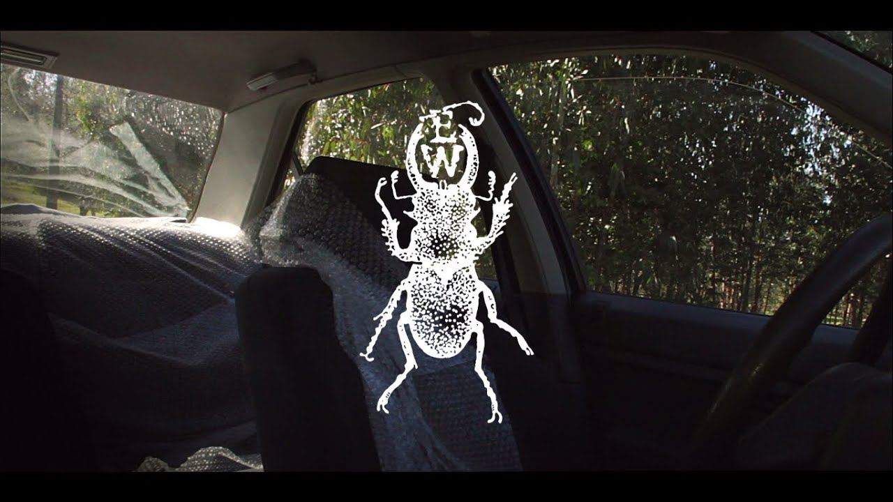 Eyptin Wholi - You're Not Supposed To Be Here || Official Music Video
