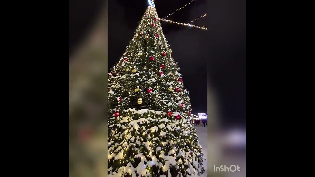 6 января 2026 г.