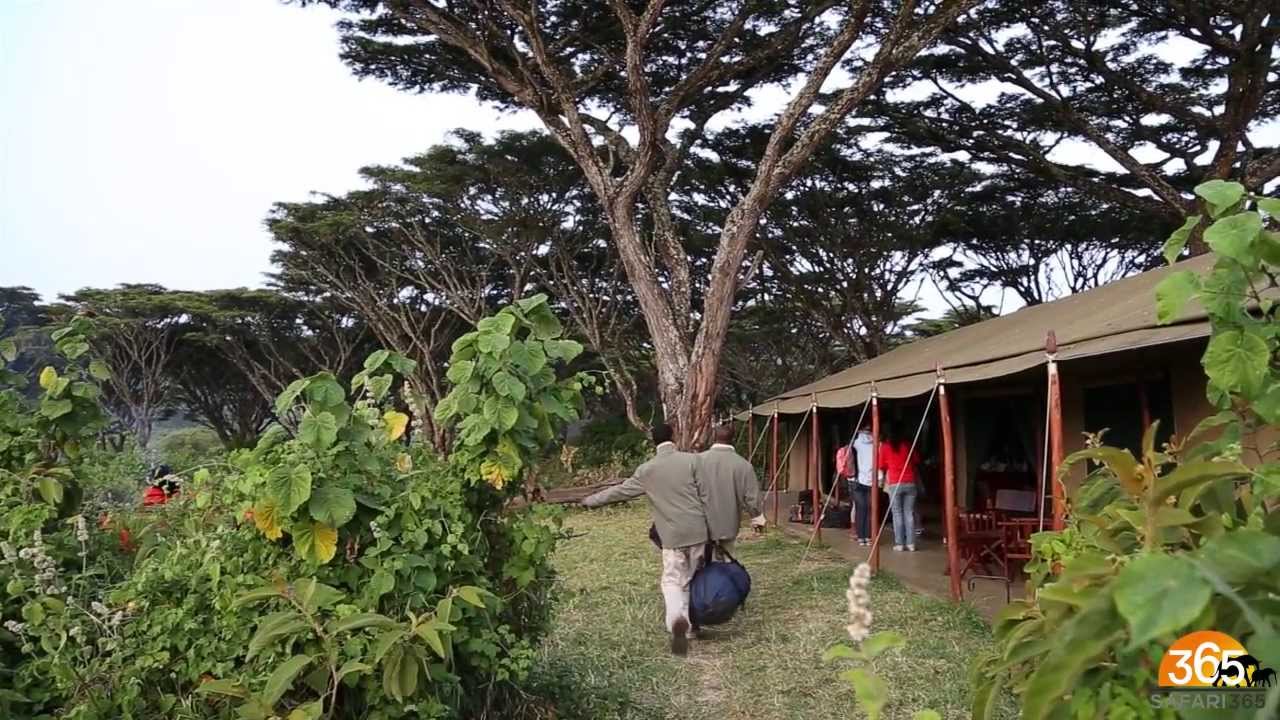 Lemala Ngorongoro Camp, Tanzania | Safari365