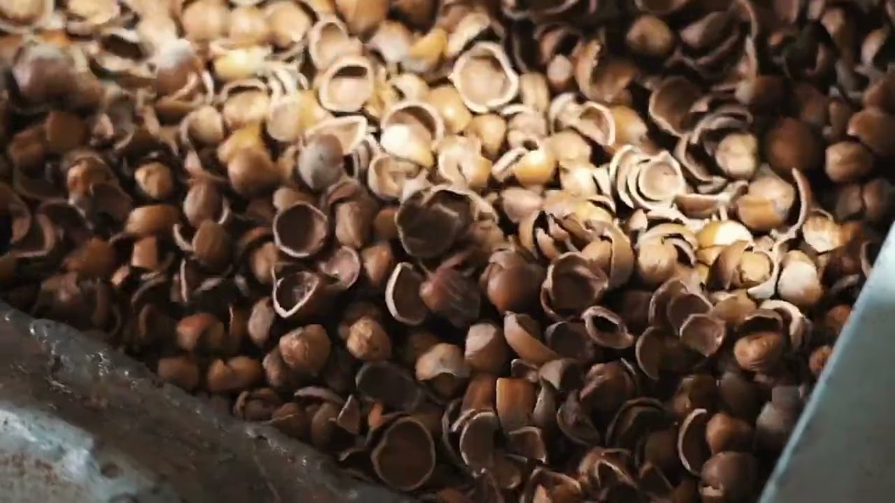 Italy's Finest Nutty Delight 🌰 | Sicily Girl