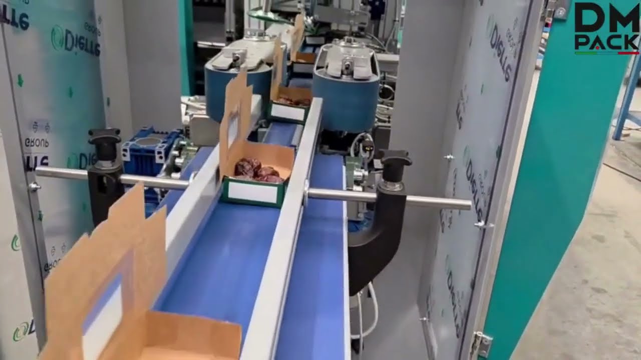 Complete Packaging Line for Date Boxes – Case Forming, Closing & Top-Load Case Packer