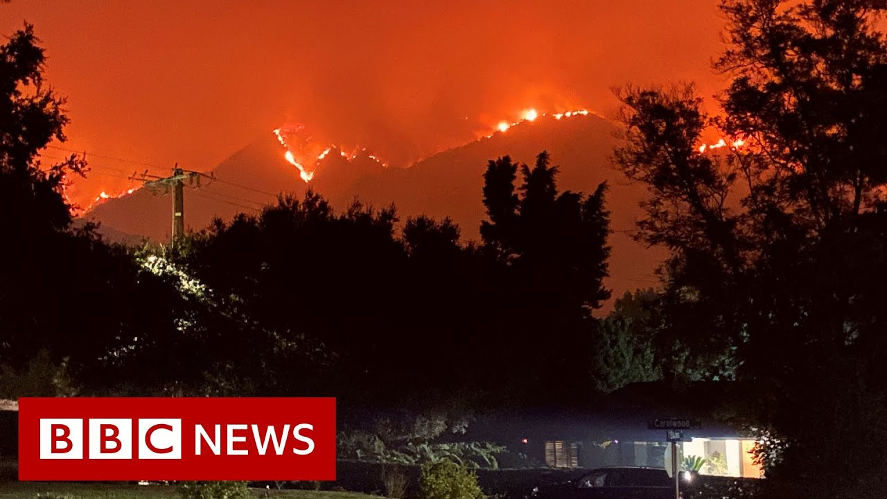 US West Coast fires: Is Trump right to blame forest management? - BBC News