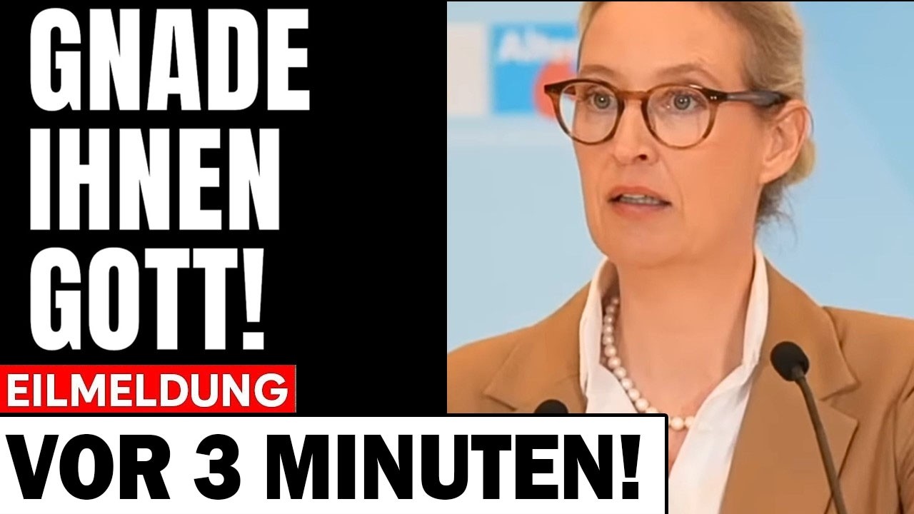 Plötzlich packt AFD über HAYALI aus! - Was das Fernsehen hier getan hat, ist unverzeihlich!