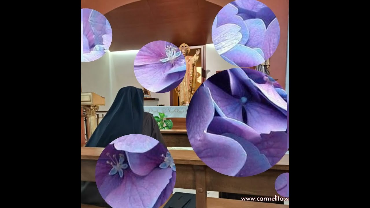 Evangelio del 16 de febrero de 2026 🌾☘️🌾☘️🌾. Carmelitas Samaritanas del Corazón de Jesús.