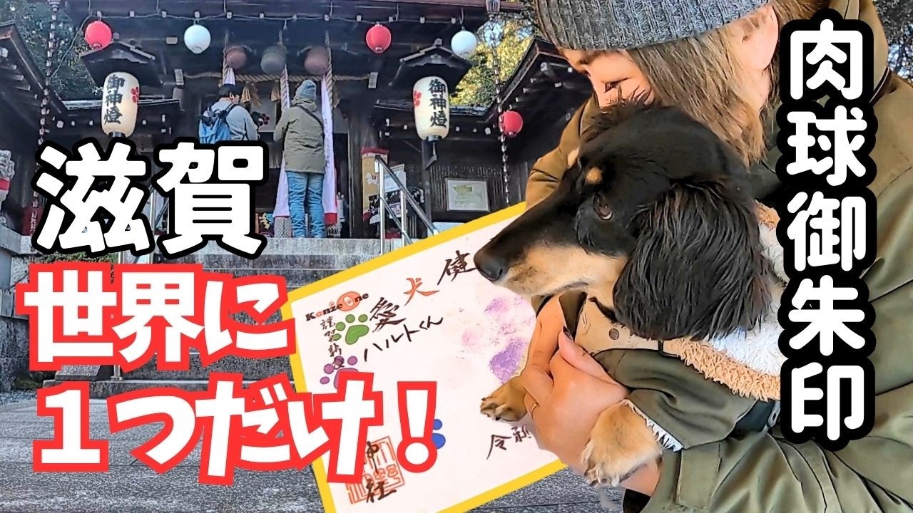 【犬連れ歓喜！】嵐の聖地、滋賀にある大野神社へ｜世界に一つだけ！肉球御朱印と記憶に残る風呂の話