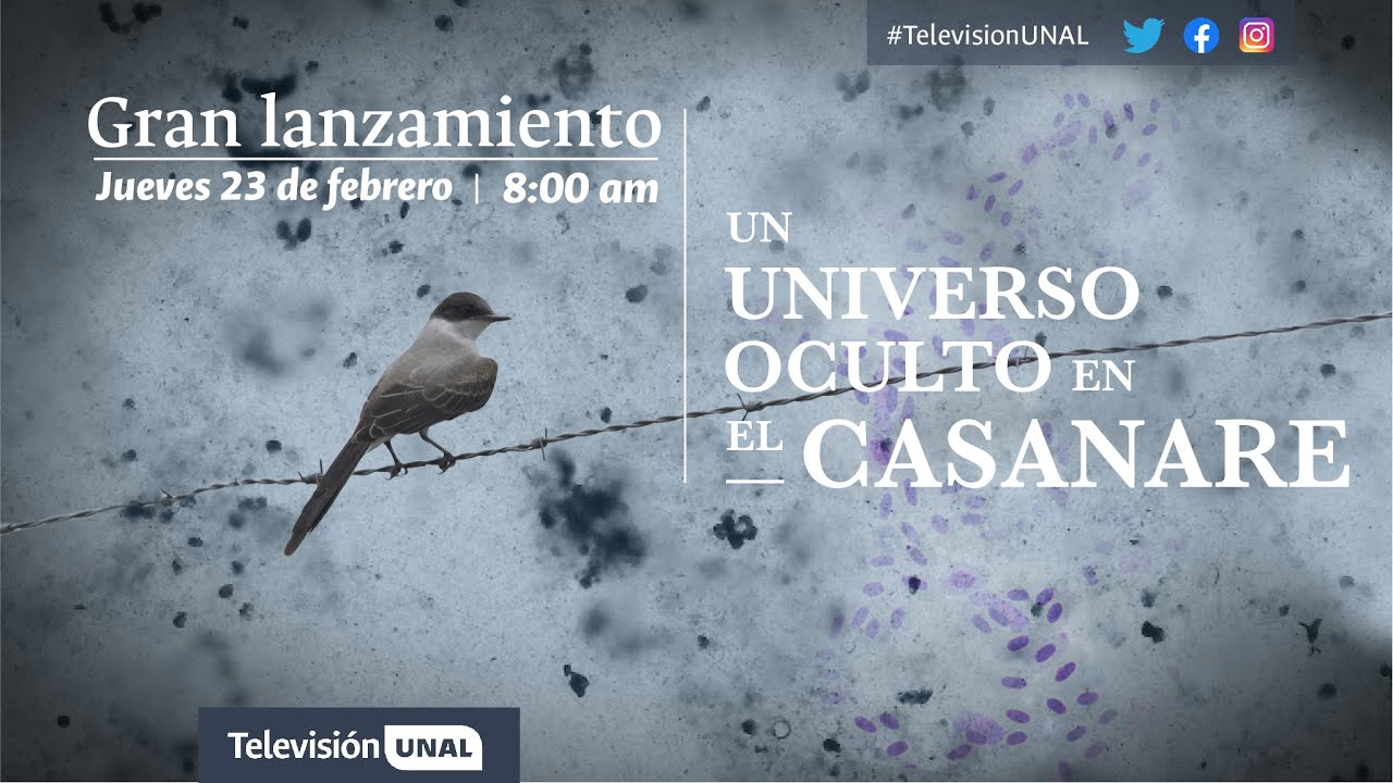Un Universo Oculto en el Casanare | #Documental